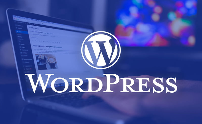 Lợi ích WordPress mang đến cho trang web của bạn